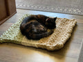 Loom Knit ePattern: Fur Babies Magic Carpet